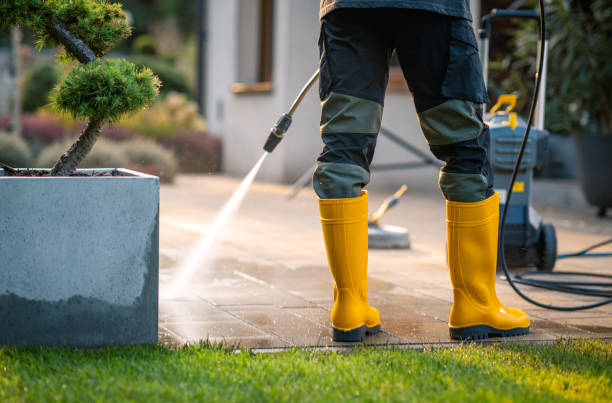Best Exterior Home Cleaning  in Trophy Clu, TX